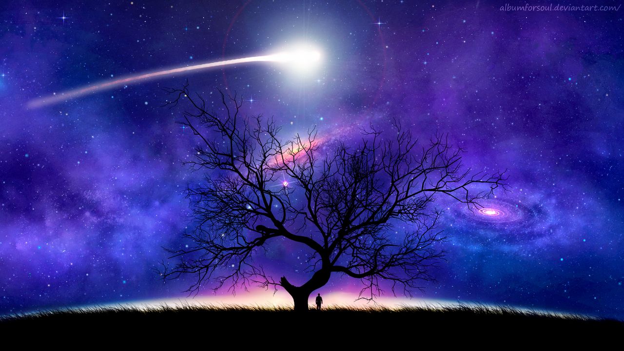 Обои дерево, силуэт, космос, ночь, звездное небо, комета