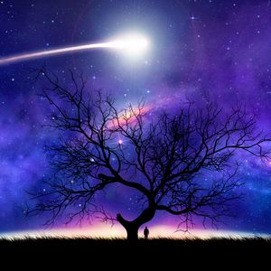 Превью обои дерево, силуэт, космос, ночь, звездное небо, комета