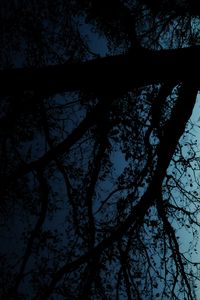 Превью обои дерево, силуэт, листья, ветки, темный, ночь