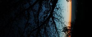 Превью обои дерево, силуэт, листья, ветки, темный, ночь
