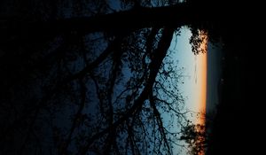 Превью обои дерево, силуэт, листья, ветки, темный, ночь