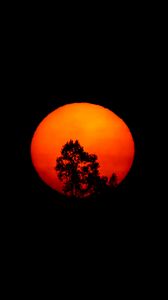 Превью обои дерево, силуэт, луна, ночь, арт
