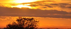 Превью обои дерево, силуэт, небо, облака, закат, темный