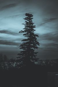 Превью обои дерево, силуэт, ночь, небо, темный