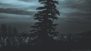 Превью обои дерево, силуэт, ночь, небо, темный
