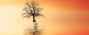 Превью обои дерево, силуэт, одинокий, море, отражение