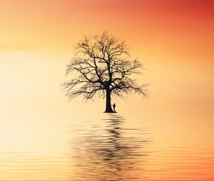 Превью обои дерево, силуэт, одинокий, море, отражение