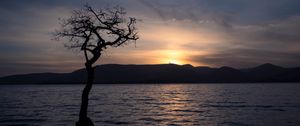 Превью обои дерево, силуэт, вода, сумерки, темный