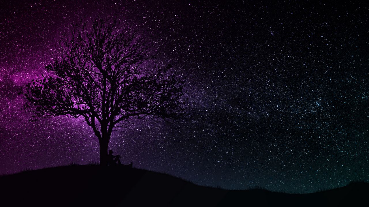 Обои дерево, силуэт, звездное небо, темный, арт
