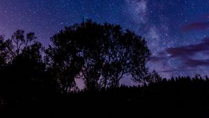 Превью обои дерево, силуэт, звездное небо, ночь, темный