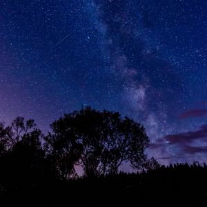 Превью обои дерево, силуэт, звездное небо, ночь, темный