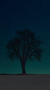 Превью обои дерево, силуэт, звезды, ночь, небо, темный