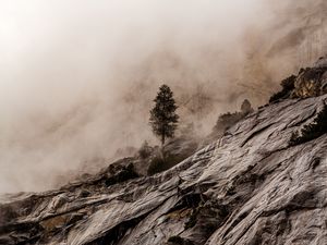 Превью обои дерево, скалы, туман, камни, каменный