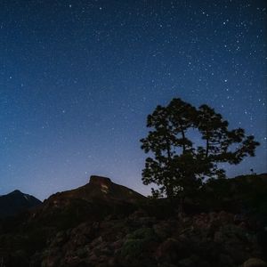 Превью обои дерево, скалы, звездное небо, звезды, ночь, темный