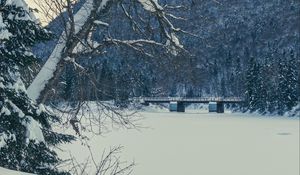 Превью обои дерево, скамья, снег, зима, природа