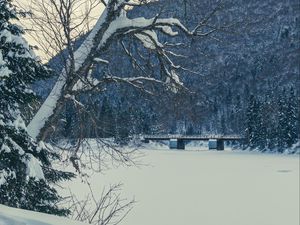 Превью обои дерево, скамья, снег, зима, природа