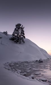 Превью обои дерево, снег, холм, озеро, лед, зима