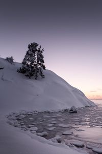 Превью обои дерево, снег, холм, озеро, лед, зима