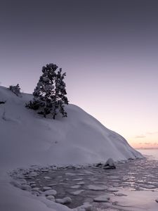 Превью обои дерево, снег, холм, озеро, лед, зима