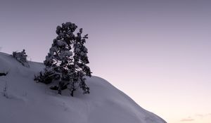 Превью обои дерево, снег, холм, озеро, лед, зима