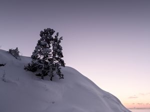 Превью обои дерево, снег, холм, озеро, лед, зима