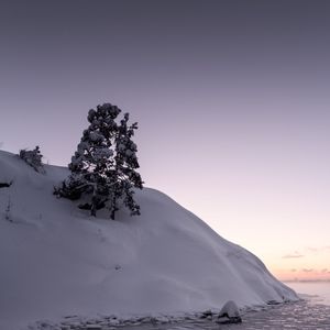 Превью обои дерево, снег, холм, озеро, лед, зима