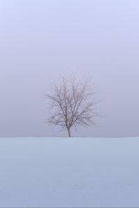 Превью обои дерево, снег, поле, зима, минимализм, природа
