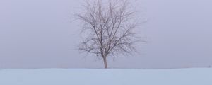 Превью обои дерево, снег, поле, зима, минимализм, природа