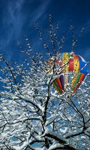 Превью обои дерево, снег, воздушный шар, зима