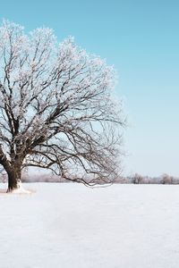Превью обои дерево, снег, зима, заснеженный, небо, горизонт