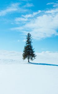 Превью обои дерево, снег, зима, горизонт, небо