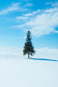 Превью обои дерево, снег, зима, горизонт, небо