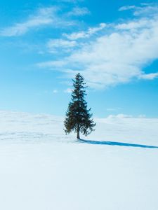 Превью обои дерево, снег, зима, горизонт, небо