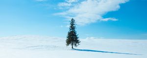 Превью обои дерево, снег, зима, горизонт, небо