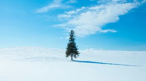 Превью обои дерево, снег, зима, горизонт, небо