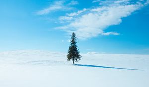 Превью обои дерево, снег, зима, горизонт, небо