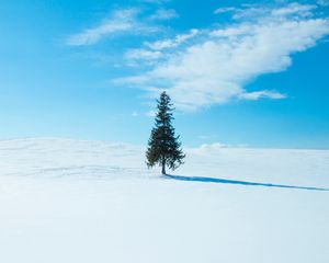 Превью обои дерево, снег, зима, горизонт, небо