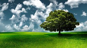 Превью обои дерево, трава, небо, облака