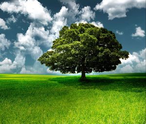 Превью обои дерево, трава, небо, облака