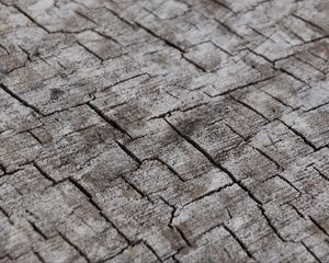 Превью обои дерево, трещины, деревянный, бревно