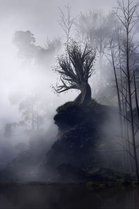 Превью обои дерево, туман, арт, скала, обрыв, ветки, мрачный