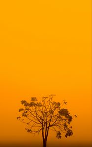 Превью обои дерево, туман, минимализм, желтый, эстетика