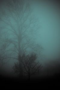 Превью обои дерево, туман, мрачно