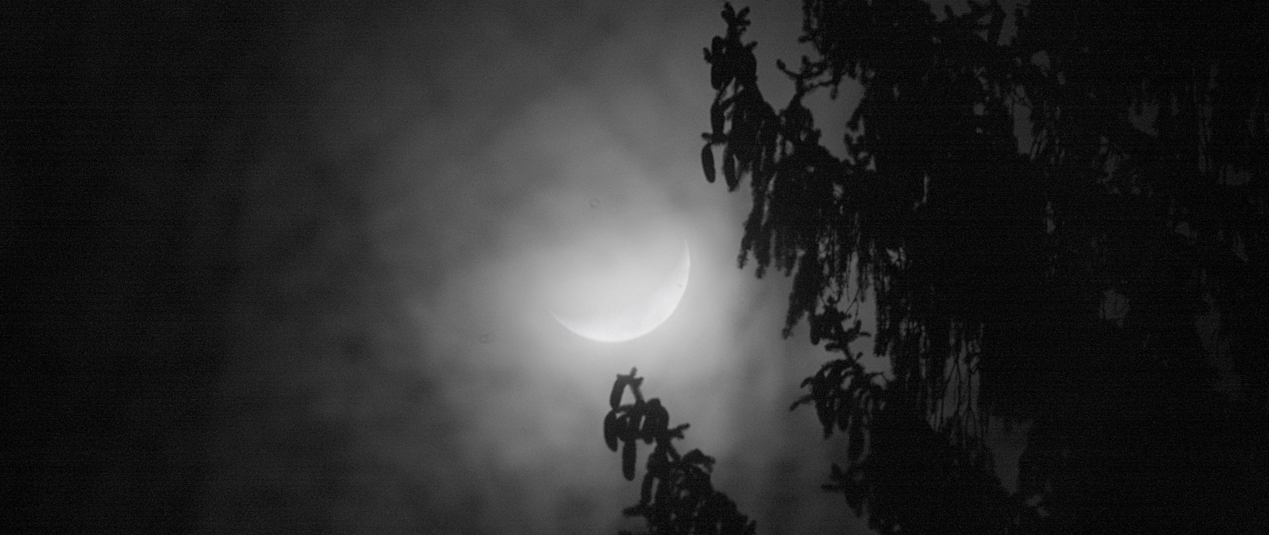Кэйдены Луна в тумане призраки Востока.