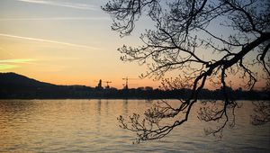 Превью обои дерево, ветки, силуэт, река, вечер