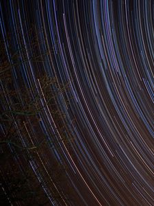 Превью обои дерево, ветки, звездное небо, фризлайт, ночь
