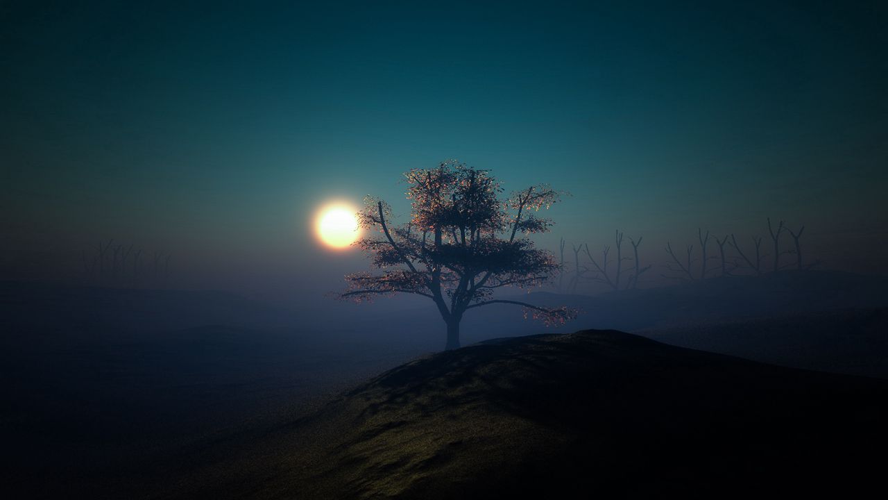 Обои дерево, закат, ночь, свет, пригорок