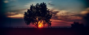 Превью обои дерево, закат, облака, небо, горизонт