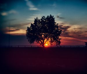 Превью обои дерево, закат, облака, небо, горизонт