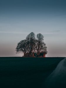 Превью обои дерево, закат, трава, горизонт